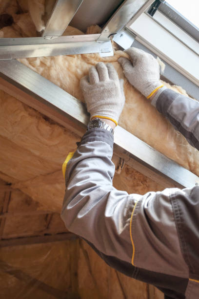 Best Garage Insulation Installation  in USA